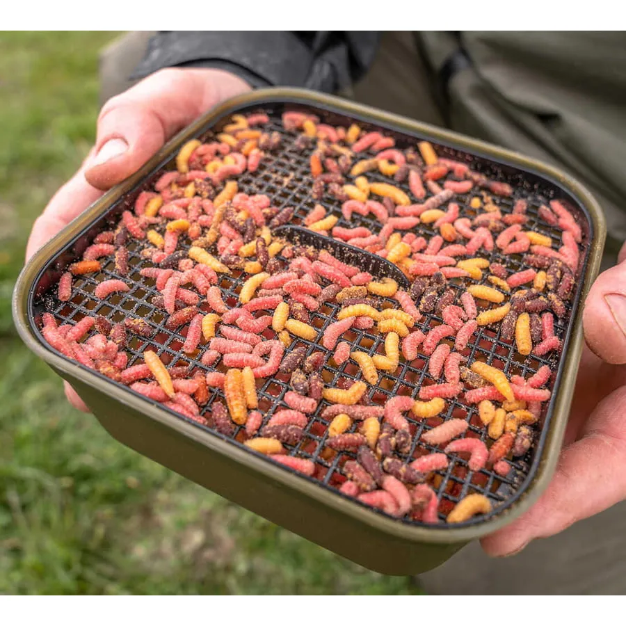 Korum Maggot Tub and Riddle – 2pt/1.2ltr - Image 4